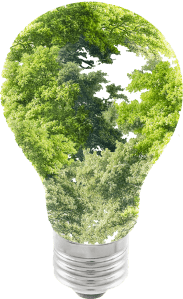 Green Generation Sustainability homepage ABOUT light bulb element with its glass part formed by green tree foliage, symbolizing eco-friendly innovation